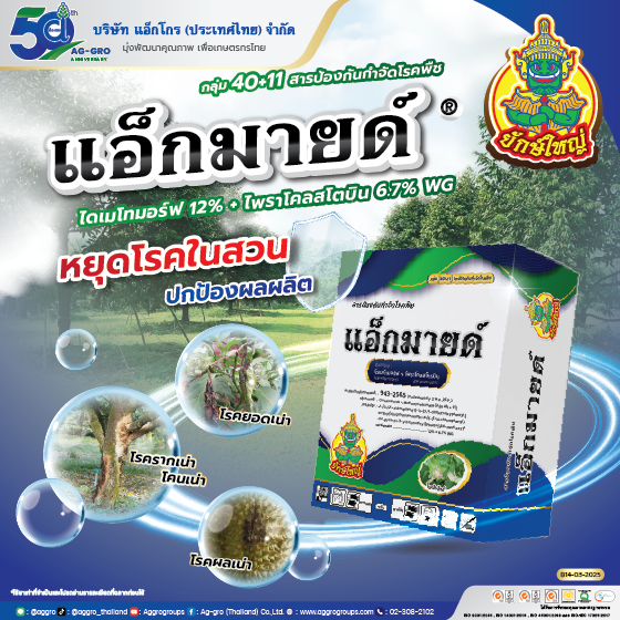 แอ็กมายด์